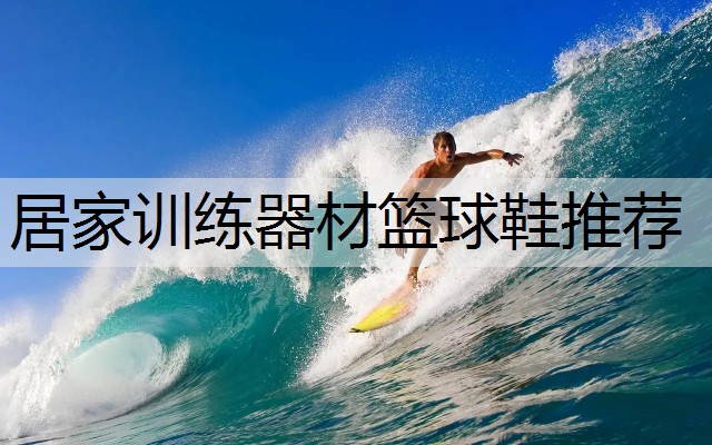 居家訓練器材籃球鞋推薦