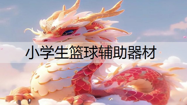 小學(xué)生籃球輔助器材