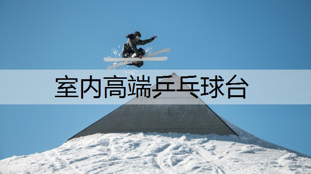 室內高端乒乓球臺