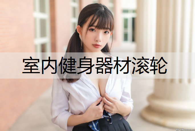室內健身器材滾輪