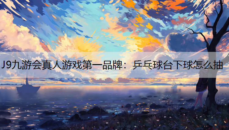 J9九游會真人游戲第一品牌：乒乓球臺下球怎么抽