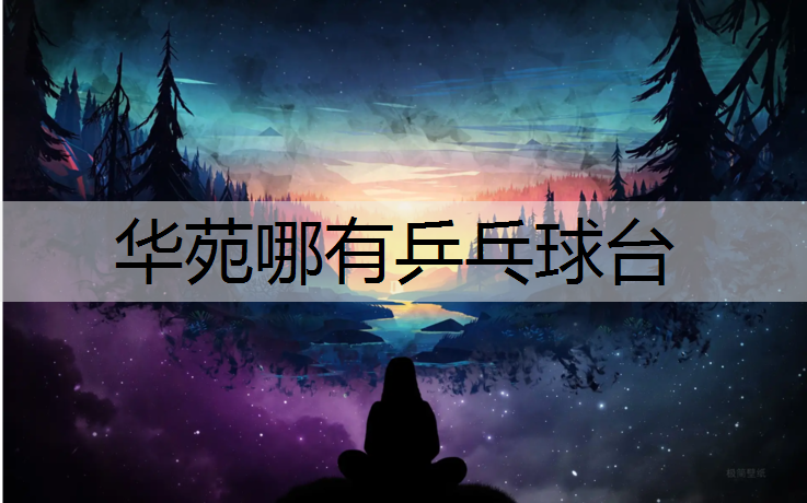 華苑哪有乒乓球臺