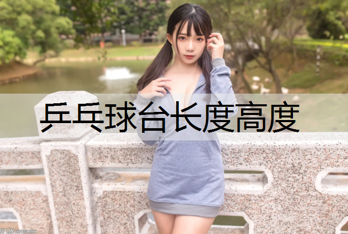 乒乓球臺長度高度