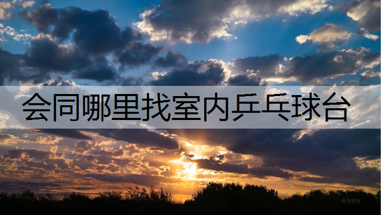 會同哪里找室內乒乓球臺