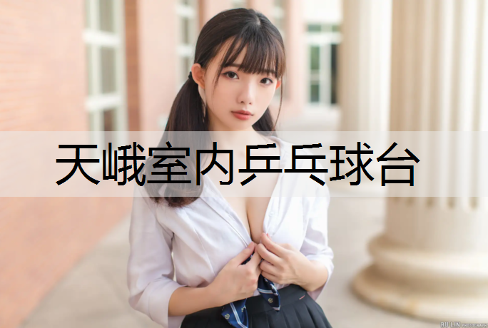 天峨室內(nèi)乒乓球臺