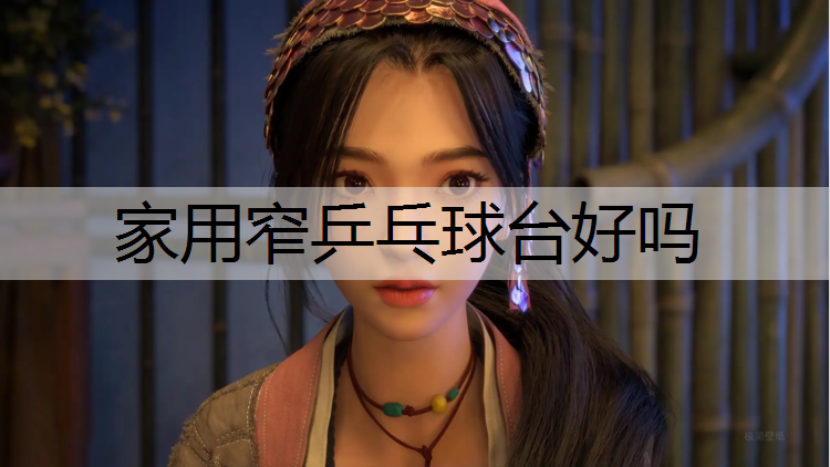 家用窄乒乓球臺好嗎
