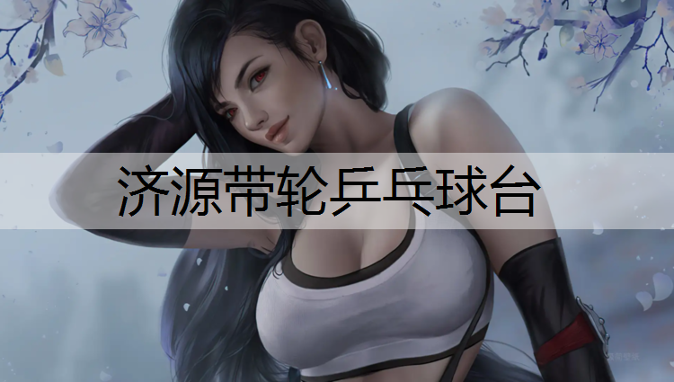 濟源帶輪乒乓球臺