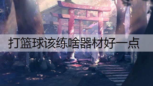 打籃球該練啥器材好一點