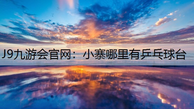 小寨哪里有乒乓球臺(tái)