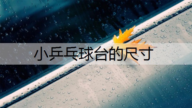小乒乓球臺的尺寸
