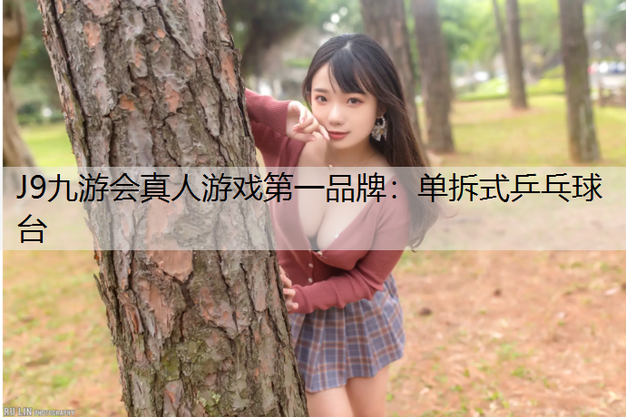單拆式乒乓球臺
