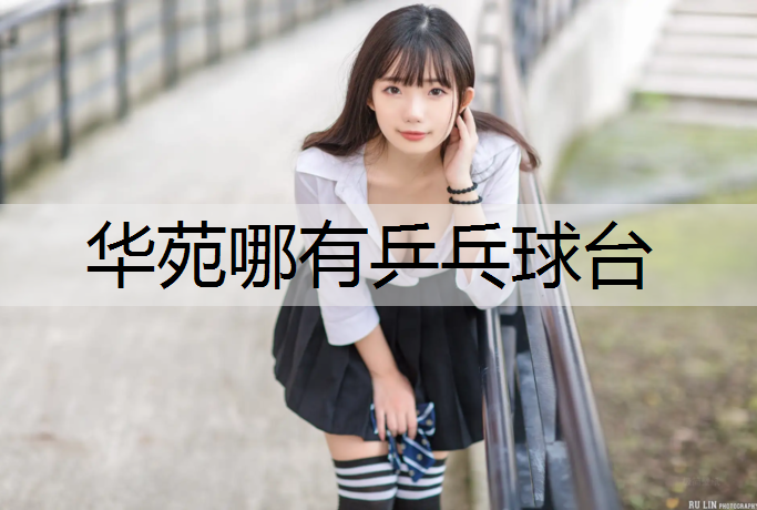 華苑哪有乒乓球臺