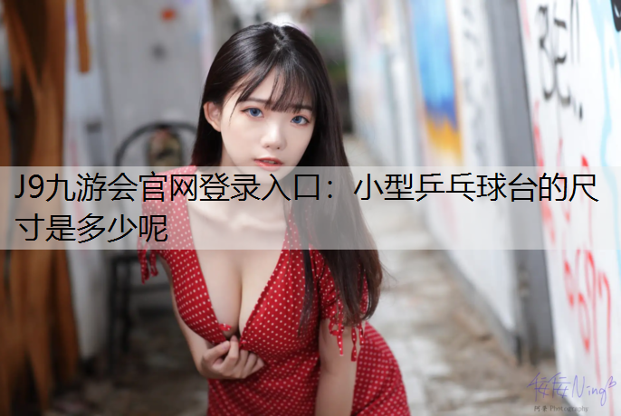 小型乒乓球臺(tái)的尺寸是多少呢