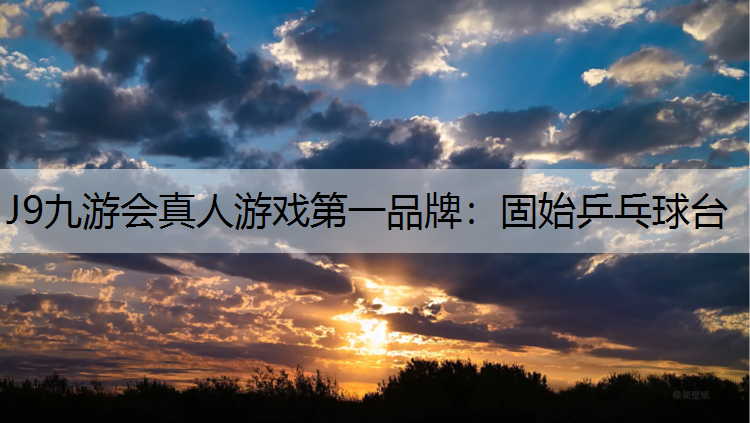 固始乒乓球臺