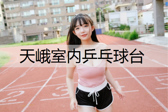 天峨室內乒乓球臺