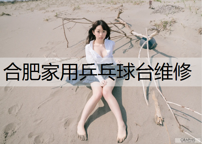 合肥家用乒乓球臺維修