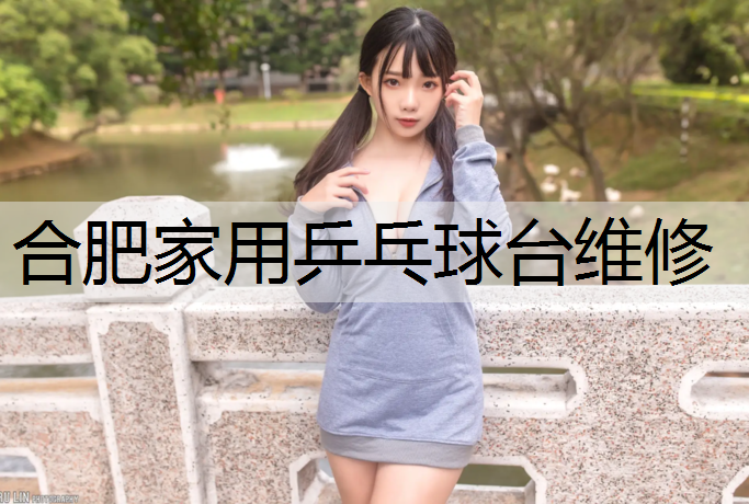 合肥家用乒乓球臺維修