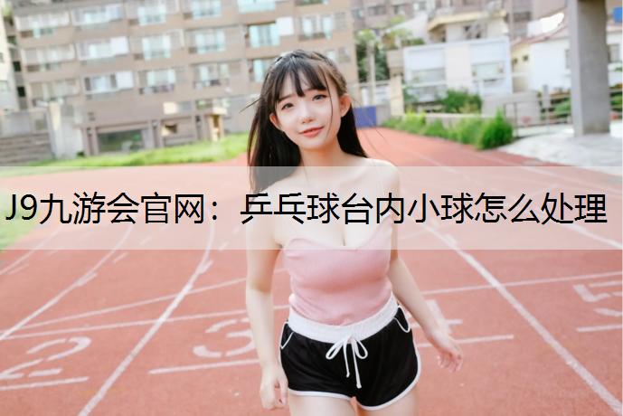 乒乓球臺內小球怎么處理