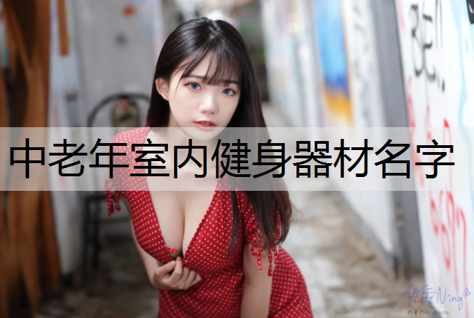 中老年室內健身器材名字