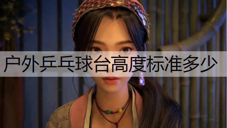 戶外乒乓球臺高度標準多少