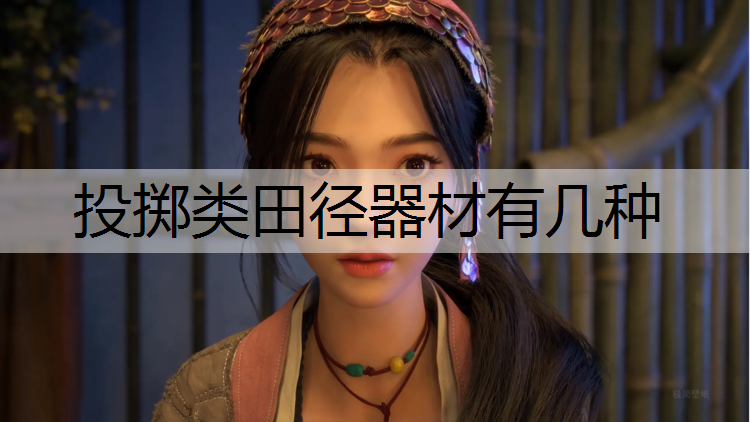 投擲類田徑器材有幾種