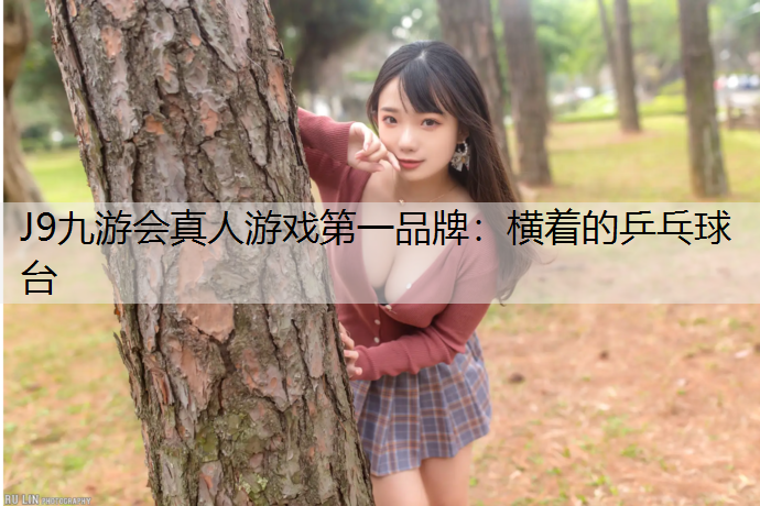 橫著的乒乓球臺(tái)
